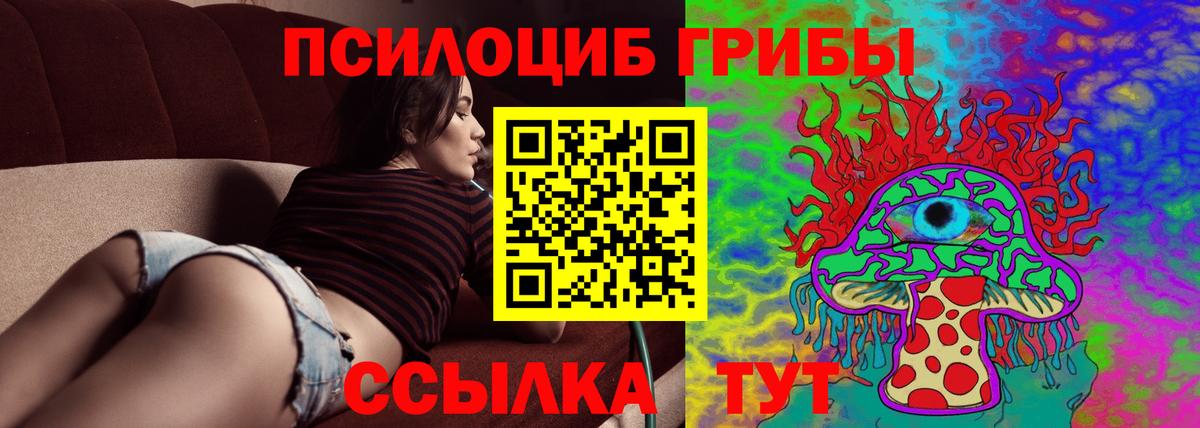 Псилоцибиновые грибы прущие грибы Ленинск-Кузнецкий